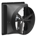 Wall Fan 48in Belt Drive