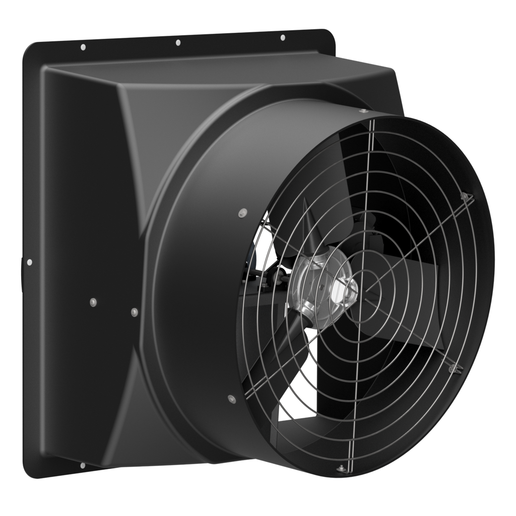 Wall Fan 36in Belt Drive